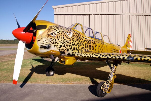 Avión de colección Yak-52 en forma de leopardo