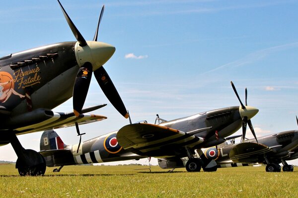 British fighters standing on the field