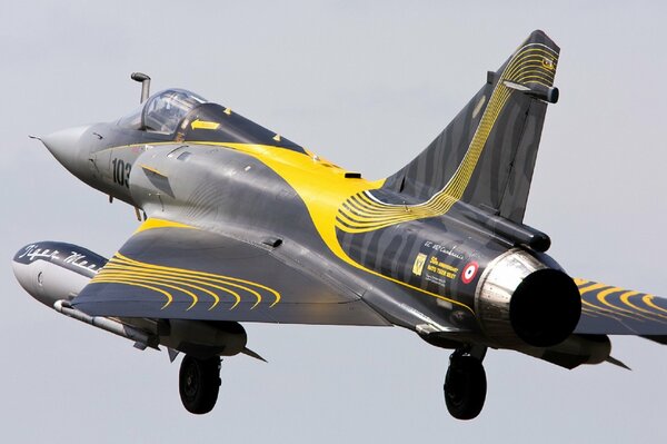 Graceful fighter Mirage-2000S in yellow and black coloring