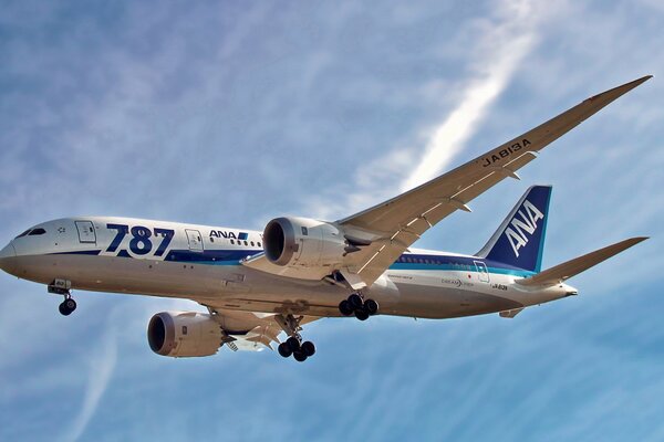 Die Boeing 787 fliegt vor dem Hintergrund des blauen Himmels