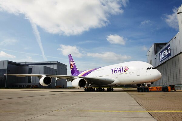 The A380 airliner spread its wings under the white clouds