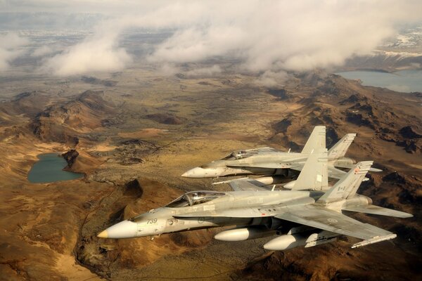 Frelon vole pour bombarder les paysages