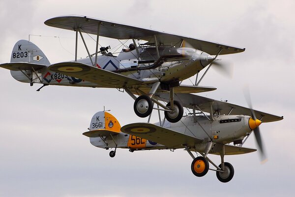 Couple de démon hawker sur fond de ciel gris