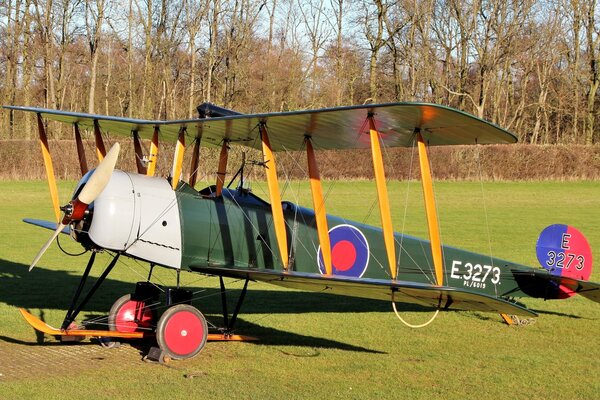 Britische Doppelflugzeug auf Wald und Feld Hintergrund