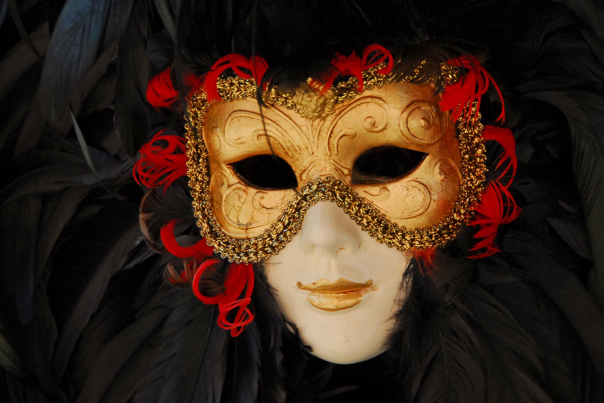 carnevale maschera mascherata venezia