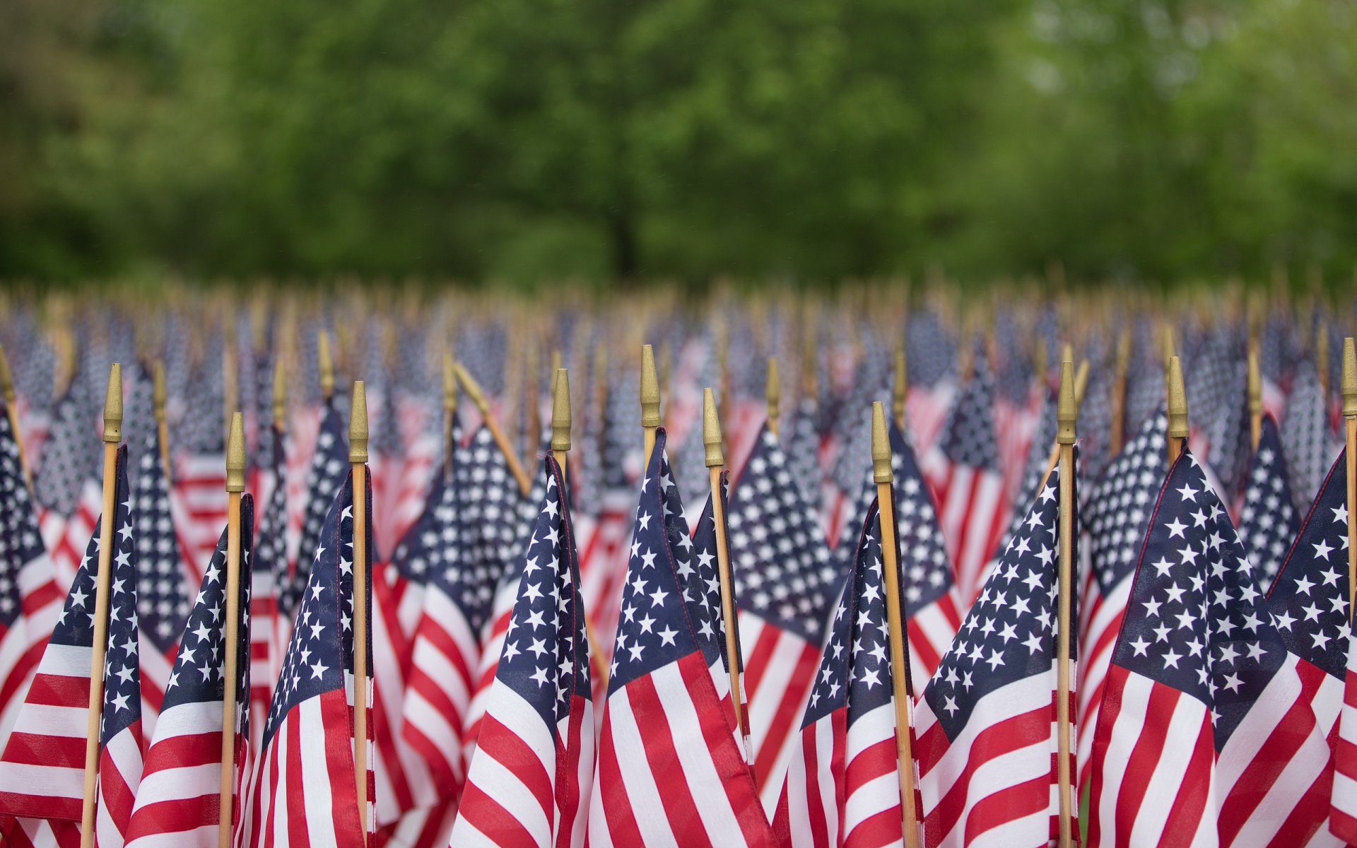 memorial day flags close up