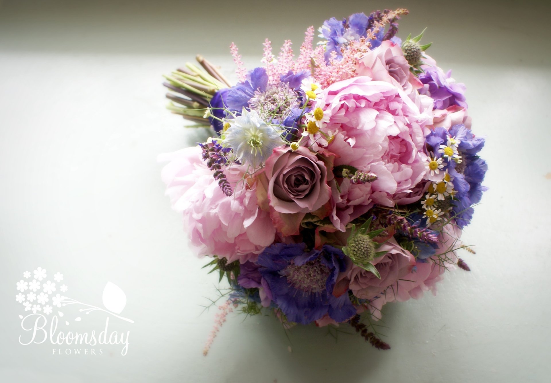 scabiosa nigella margherita rose peonie bouquet composizione fiori