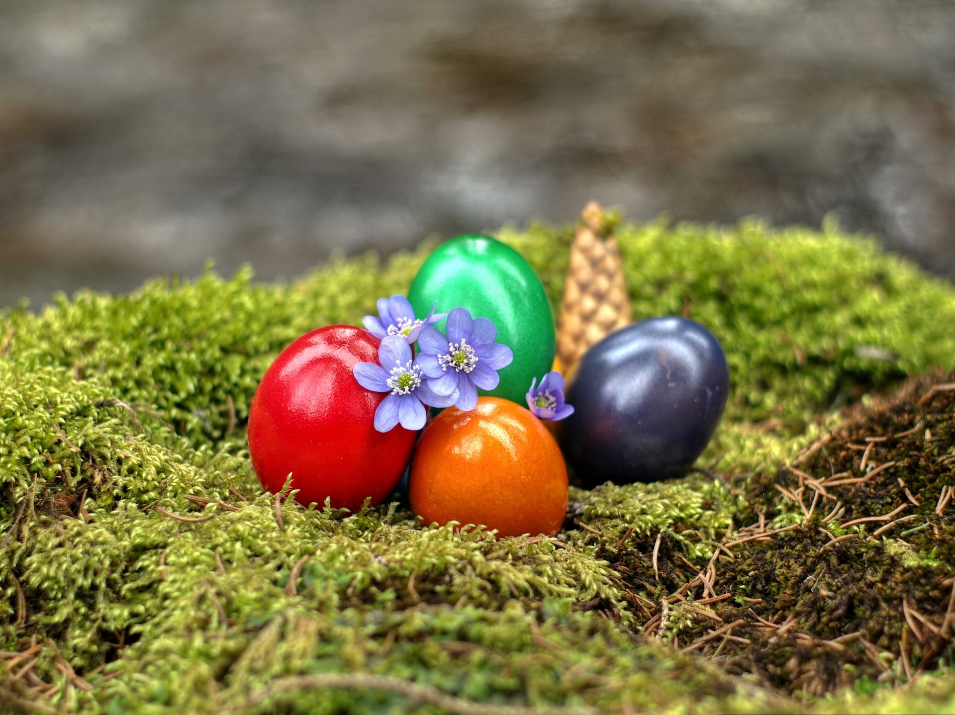 ostern moos eier blumen tannenzapfen