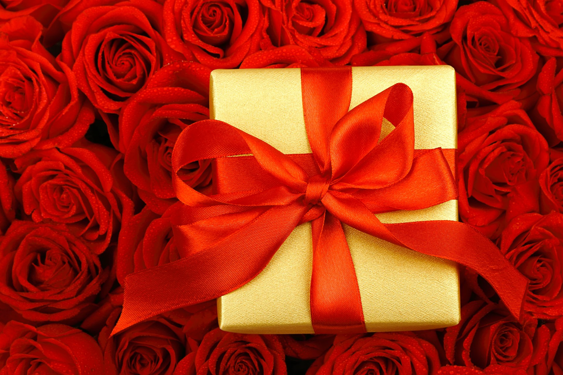 flores rosas gotas regalo cinta caja