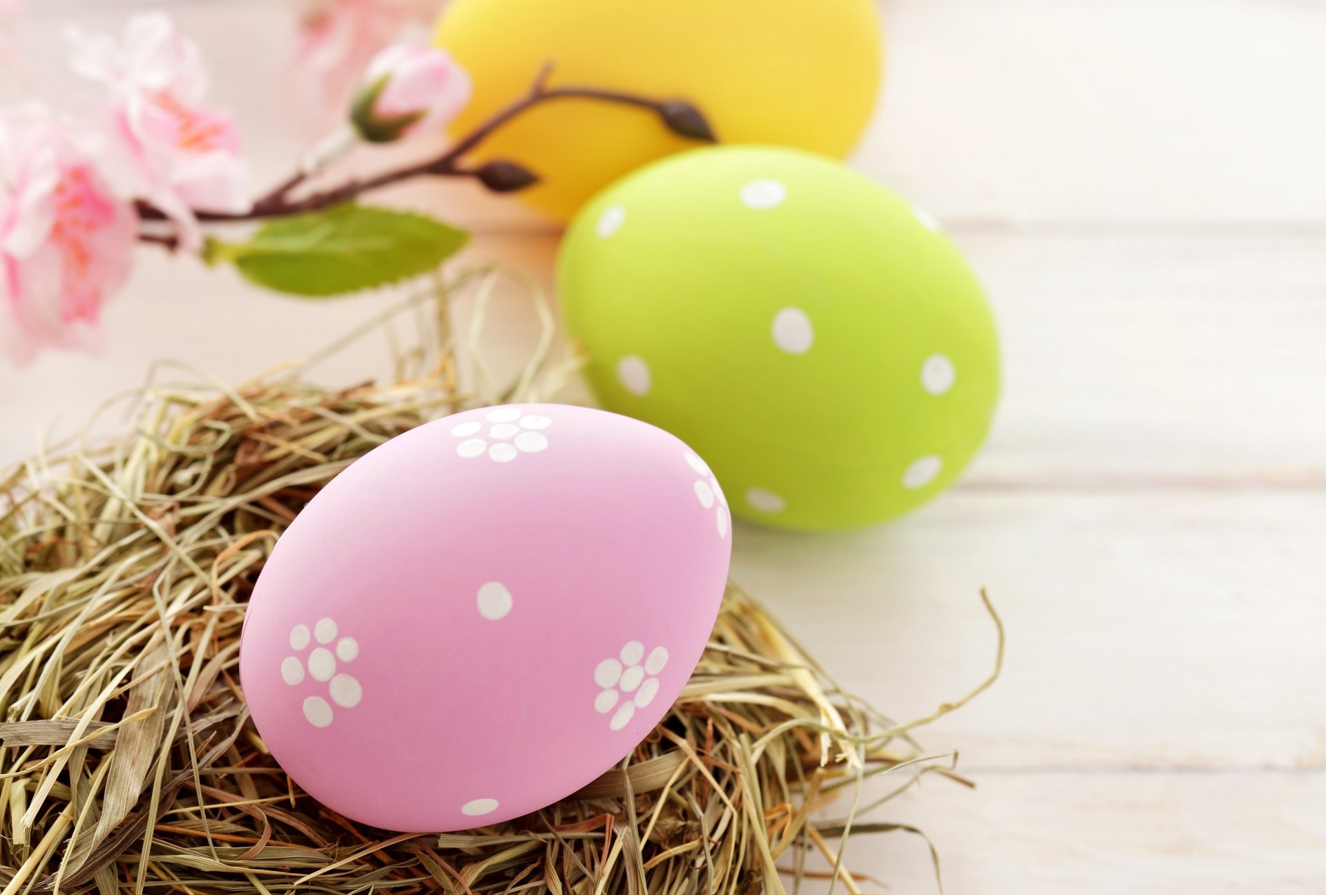 easter nest eggs easter pink yellow green spring holiday