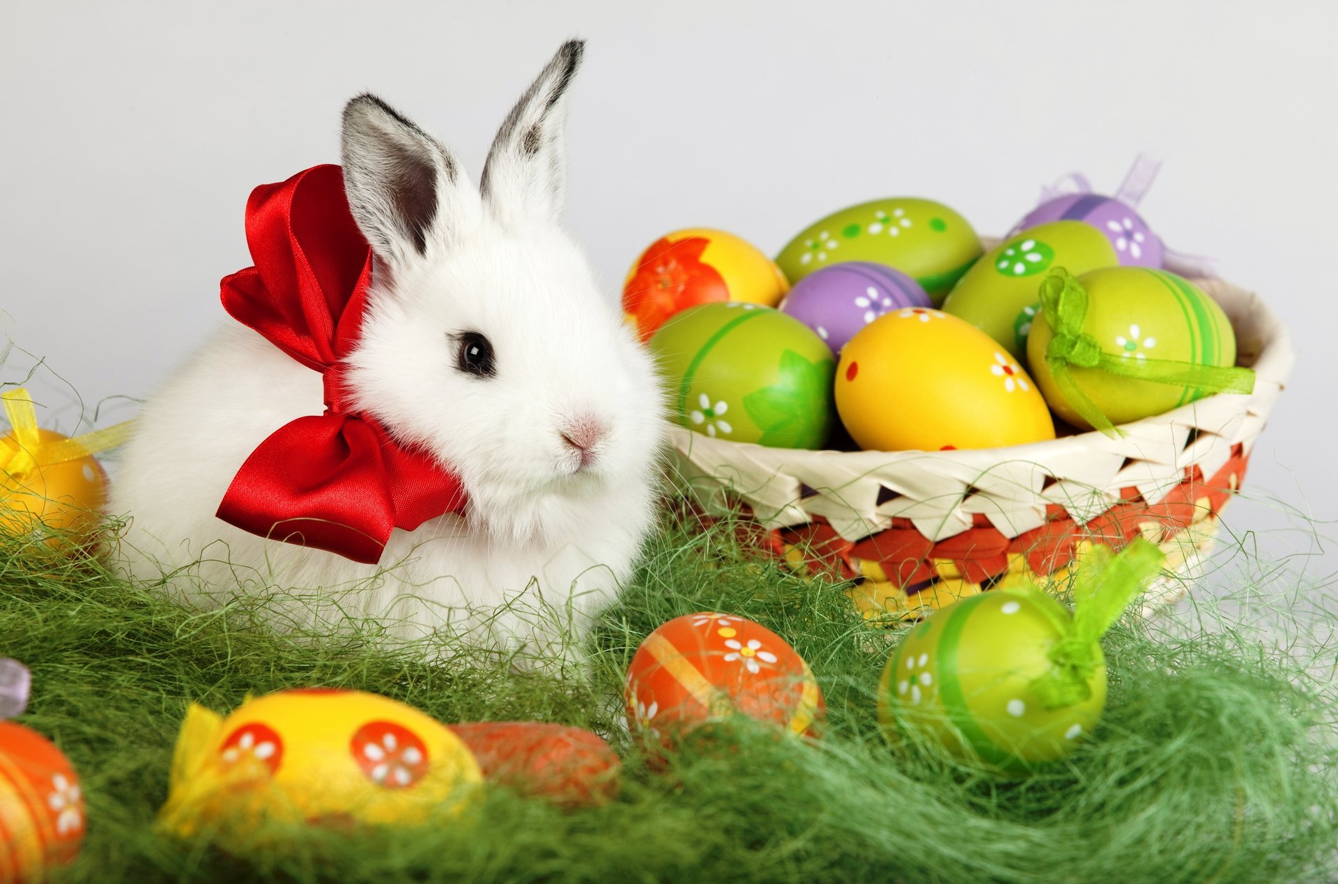 pasqua primavera vacanza uova pasqua cestino coniglio bianco fiocco