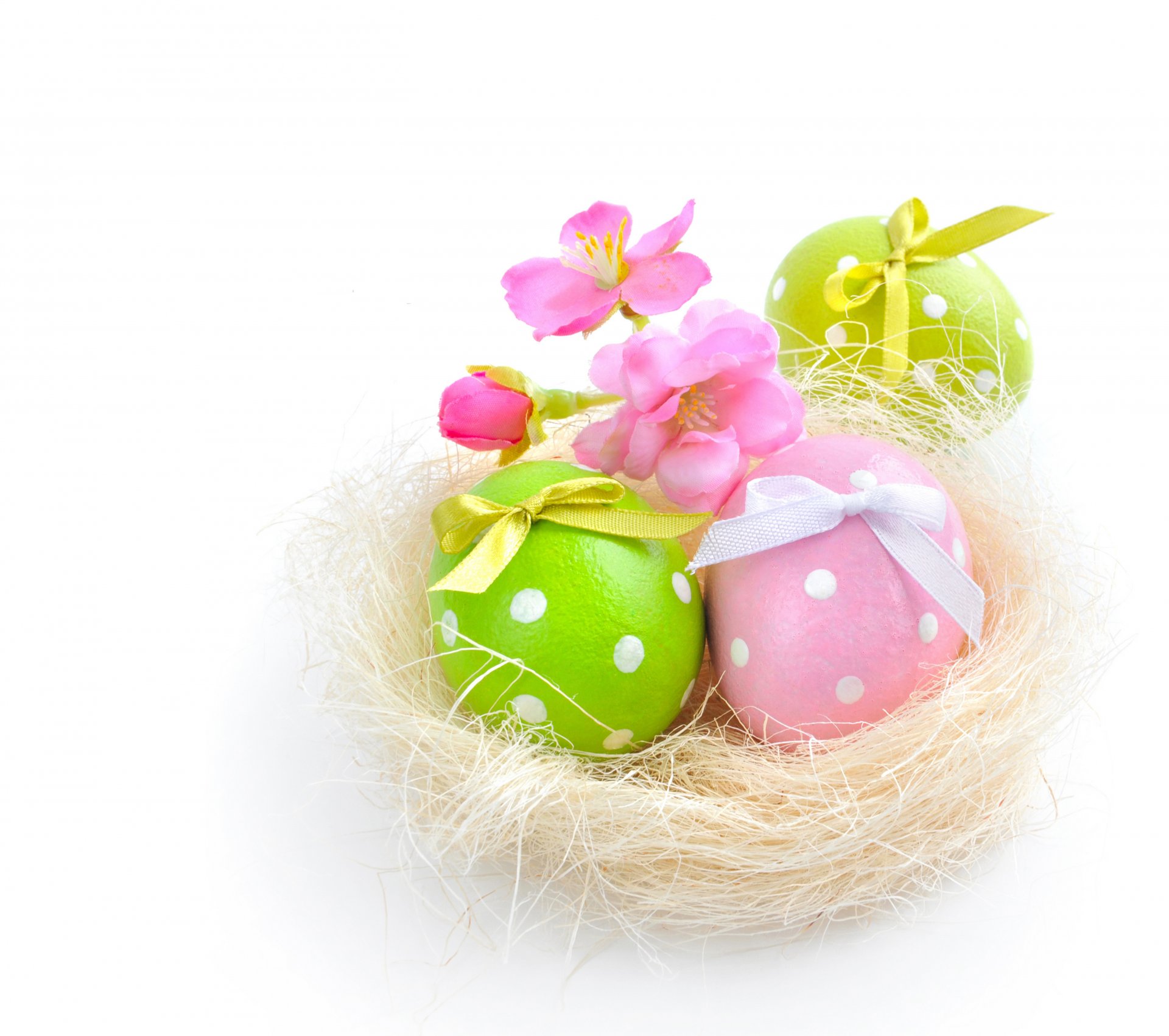 easter eggs spring flower