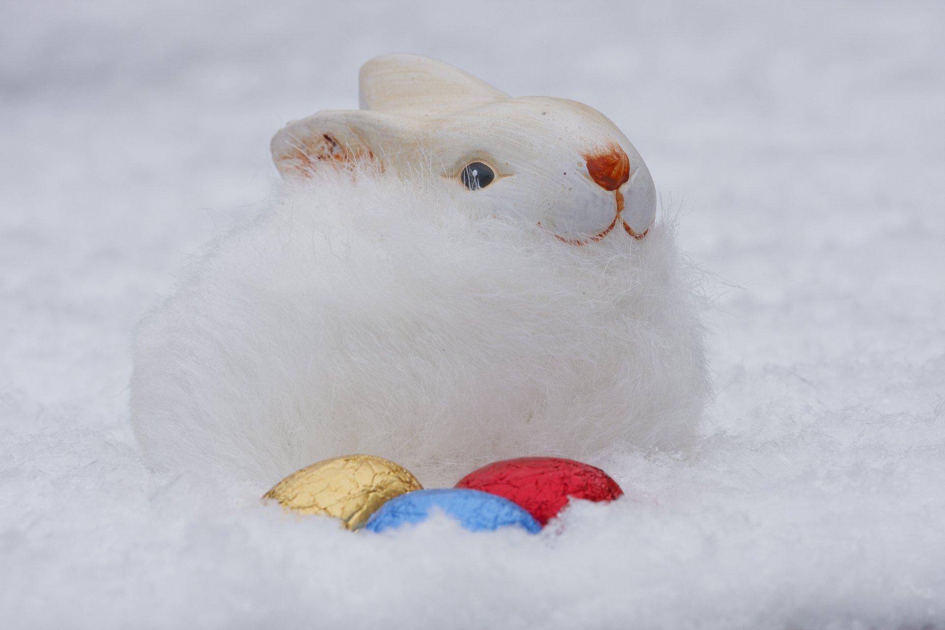 ostern kaninchen hase eier pelz