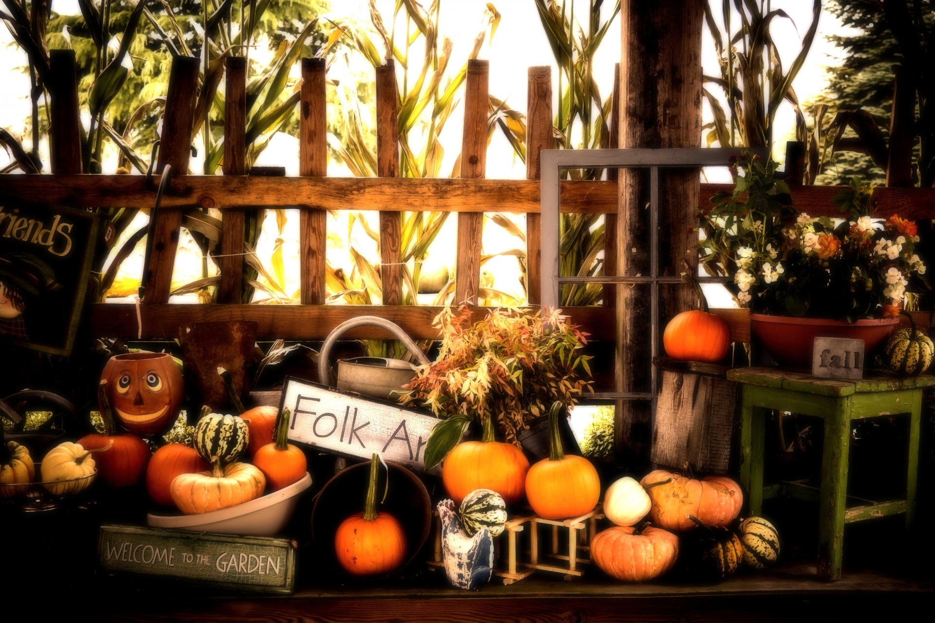 autunno halloween zucche autunno