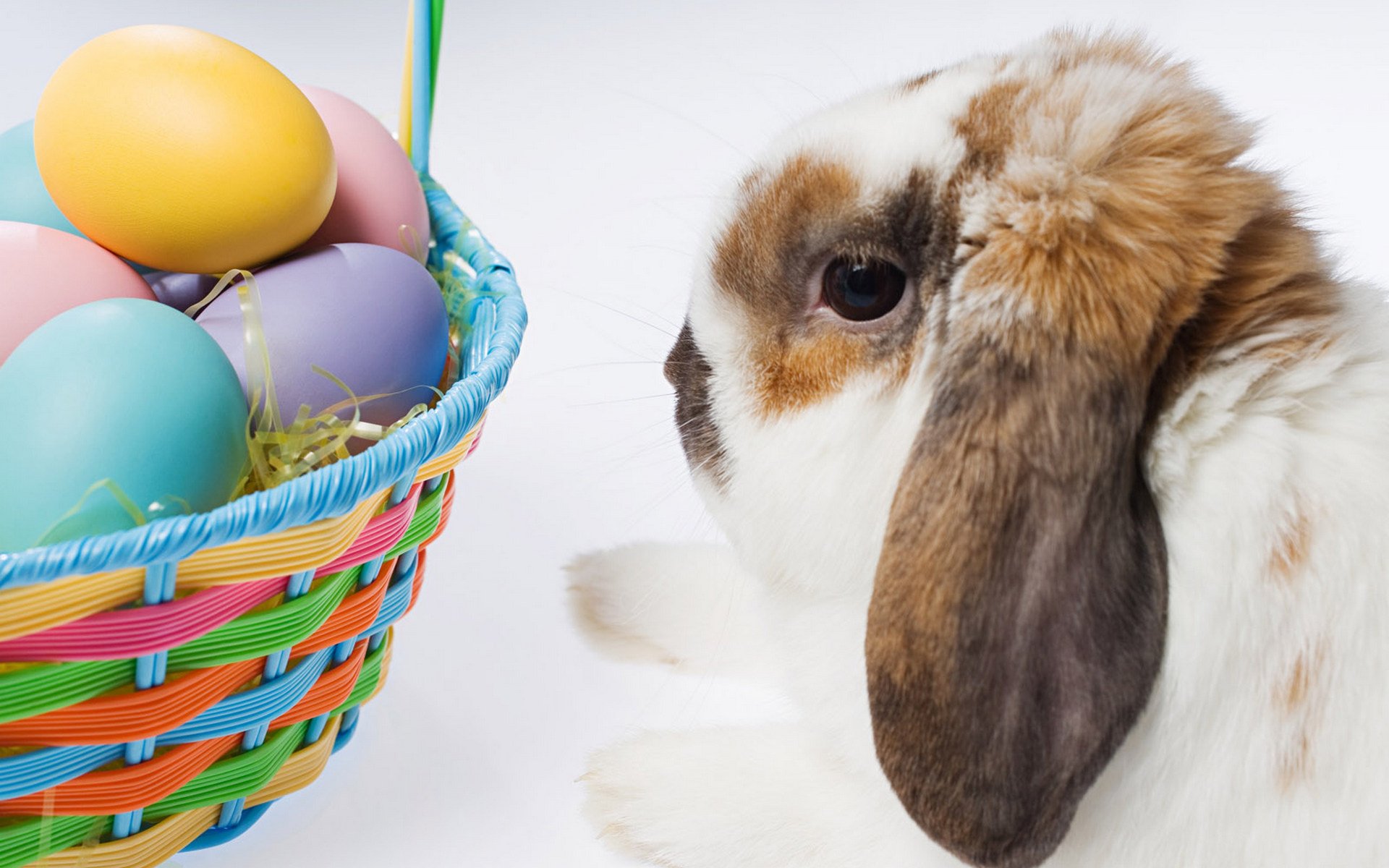 ostern ein korb mit eiern ein kaninchen