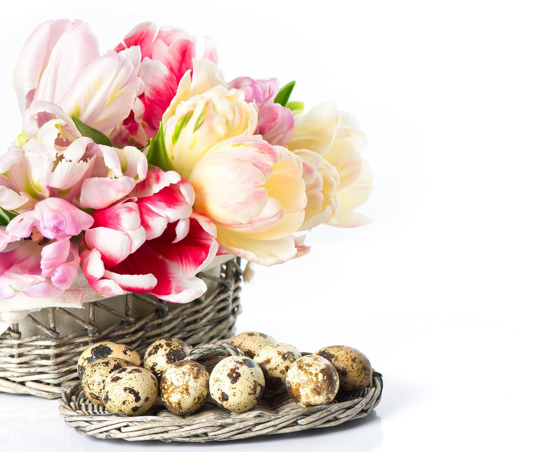 flower tulips basket eggs easter