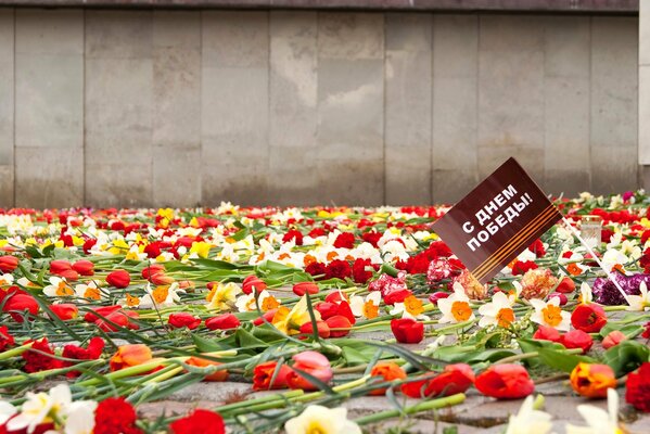 Am Tag des Sieges gibt es viele Tulpen am Denkmal