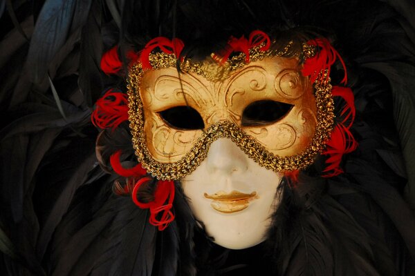 Carnival mask for masquerade or ball