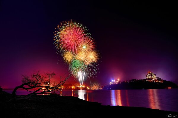 Feux d artifice sur l eau pendant la nuit