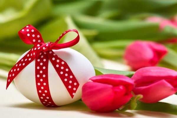 L uovo è avvolto in un nastro rosso. L uovo giace accanto ai tulipani