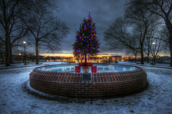 Photo ville soirée arbre de Noël avec des lumières au milieu de la fontaine