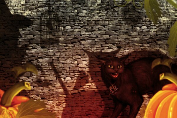 Fantasia con strega e gatto per Halloween