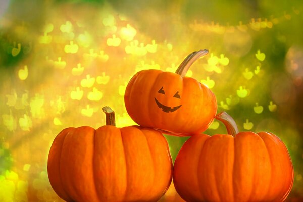 Halloween pumpkins warm cozy art