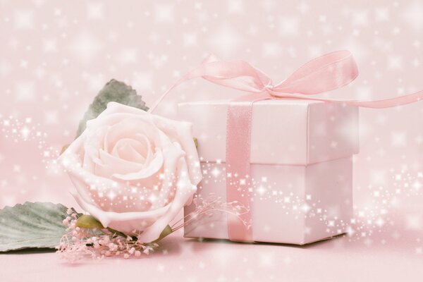 A delicate gift on a pink background