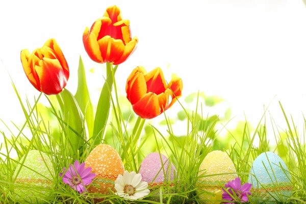 Colorful eggs and flowers in the grass