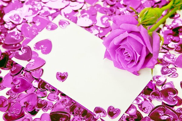 Lilac rose in a scattering of hearts