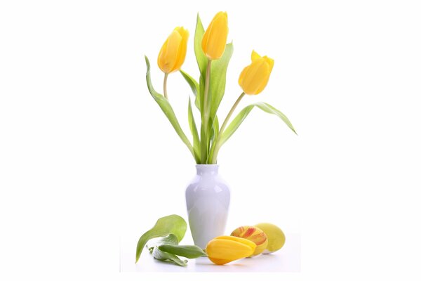 Нежнейшие желтые тюльпаны в белой вазе