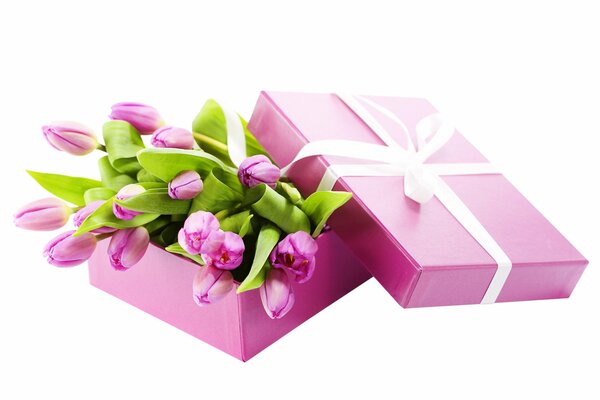 Bouquet of tulips in a pink box with a ribbon