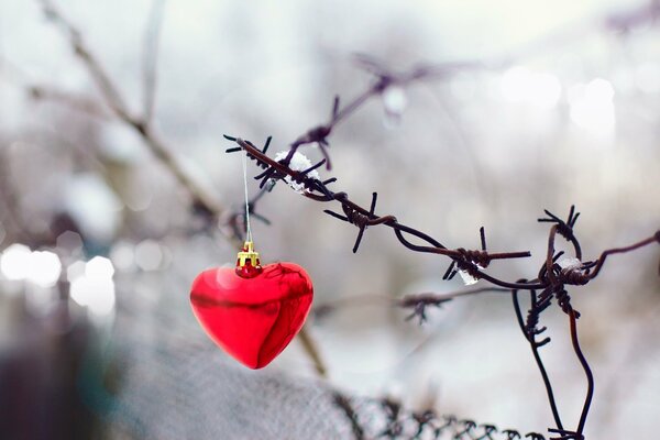 Christmas toy in the form of a heart