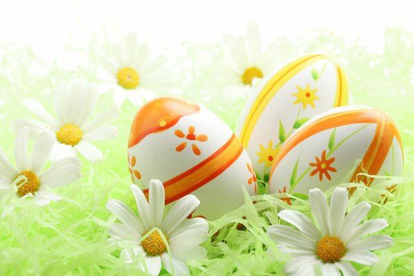 Festive Easter eggs with daisies