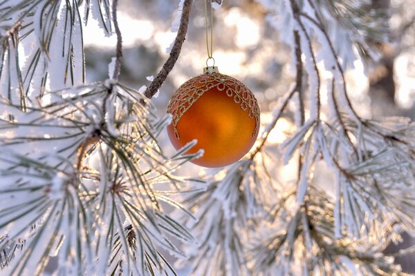 Orange Weihnachtskugel auf einem Tannenzweig