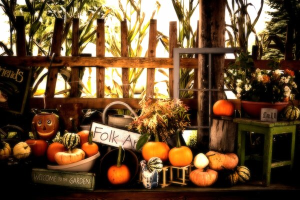 Autumn decoration of pumpkins for Halloween