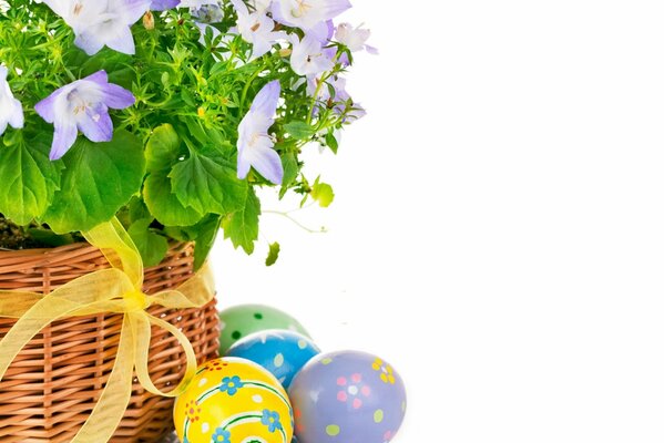 Easter eggs near a pot of flowers