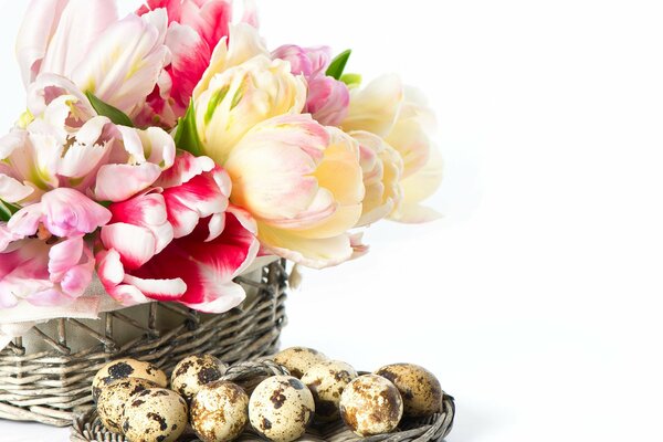 Tulipes dans un panier plat en osier avec des oeufs de caille