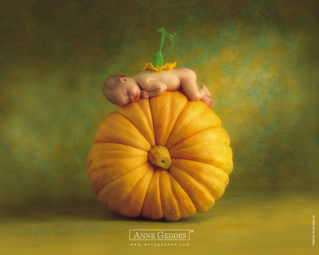 pumpkin child helloween