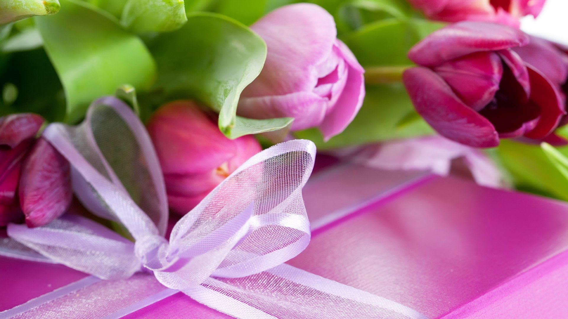 flowers flower tulip pink lilac purple gift box packaging bow ribbon holiday congratulations surprise leaves petal