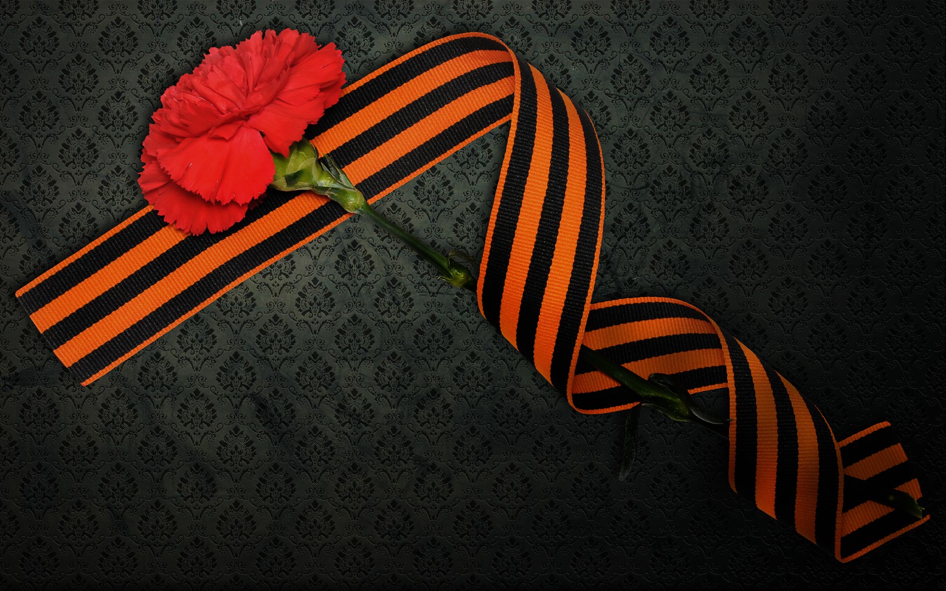 may 9 victory day carnation st. george s ribbon