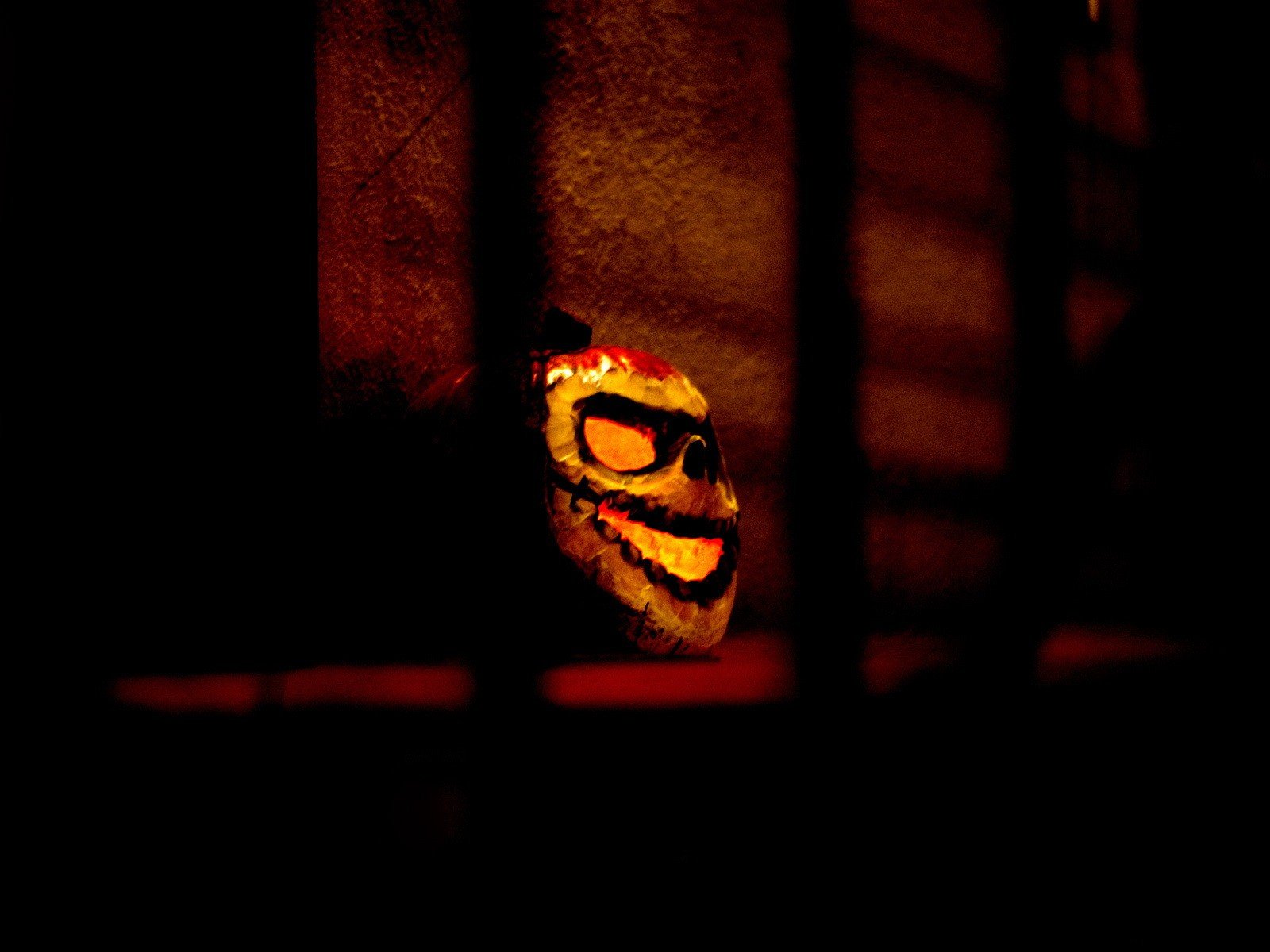 pumpkin gloom halloween halloween