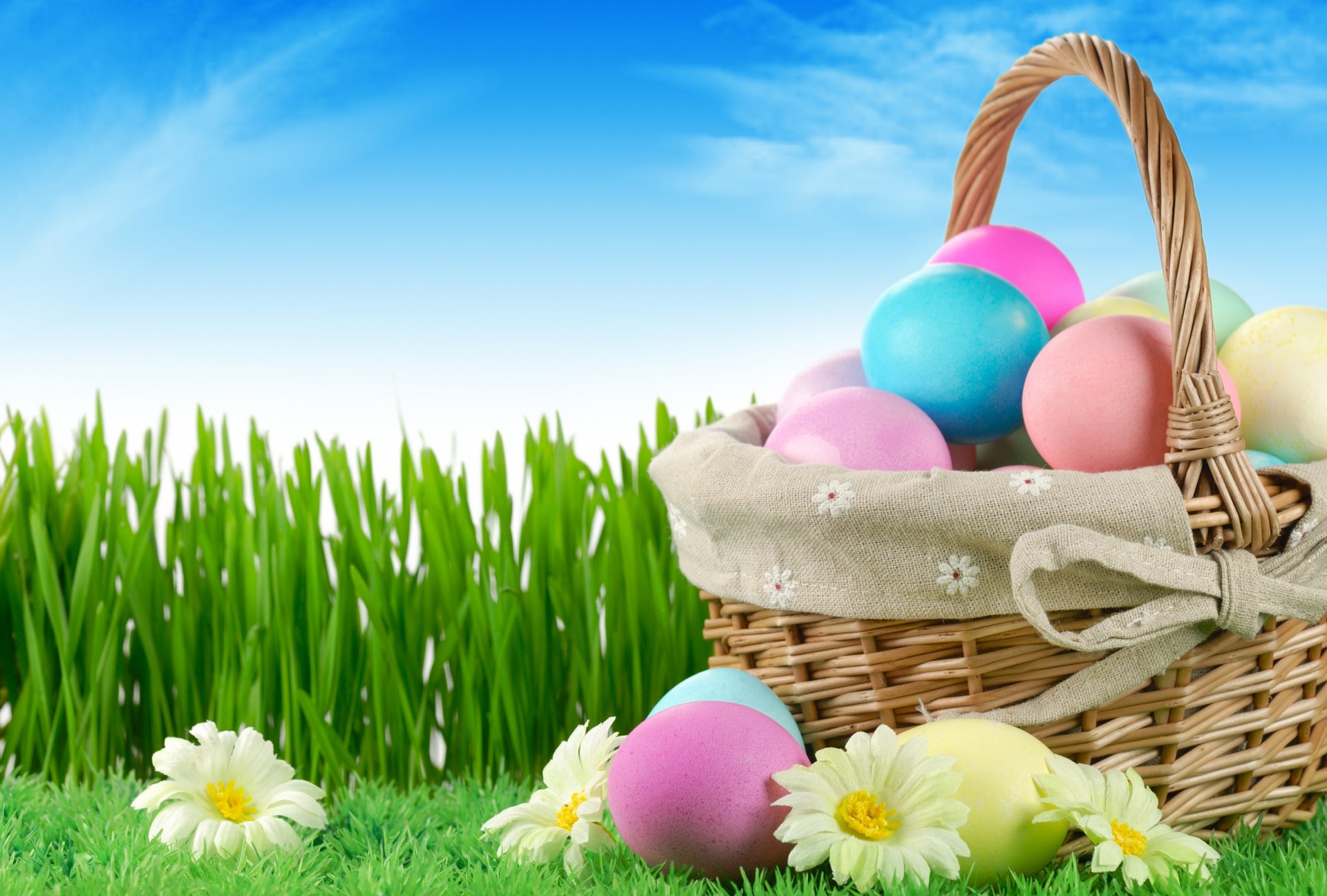 holiday easter eggs flowers grass nature sky