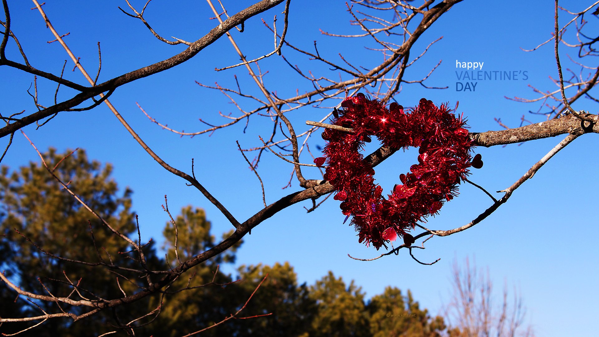 coeur amour romance saint valentin vacances