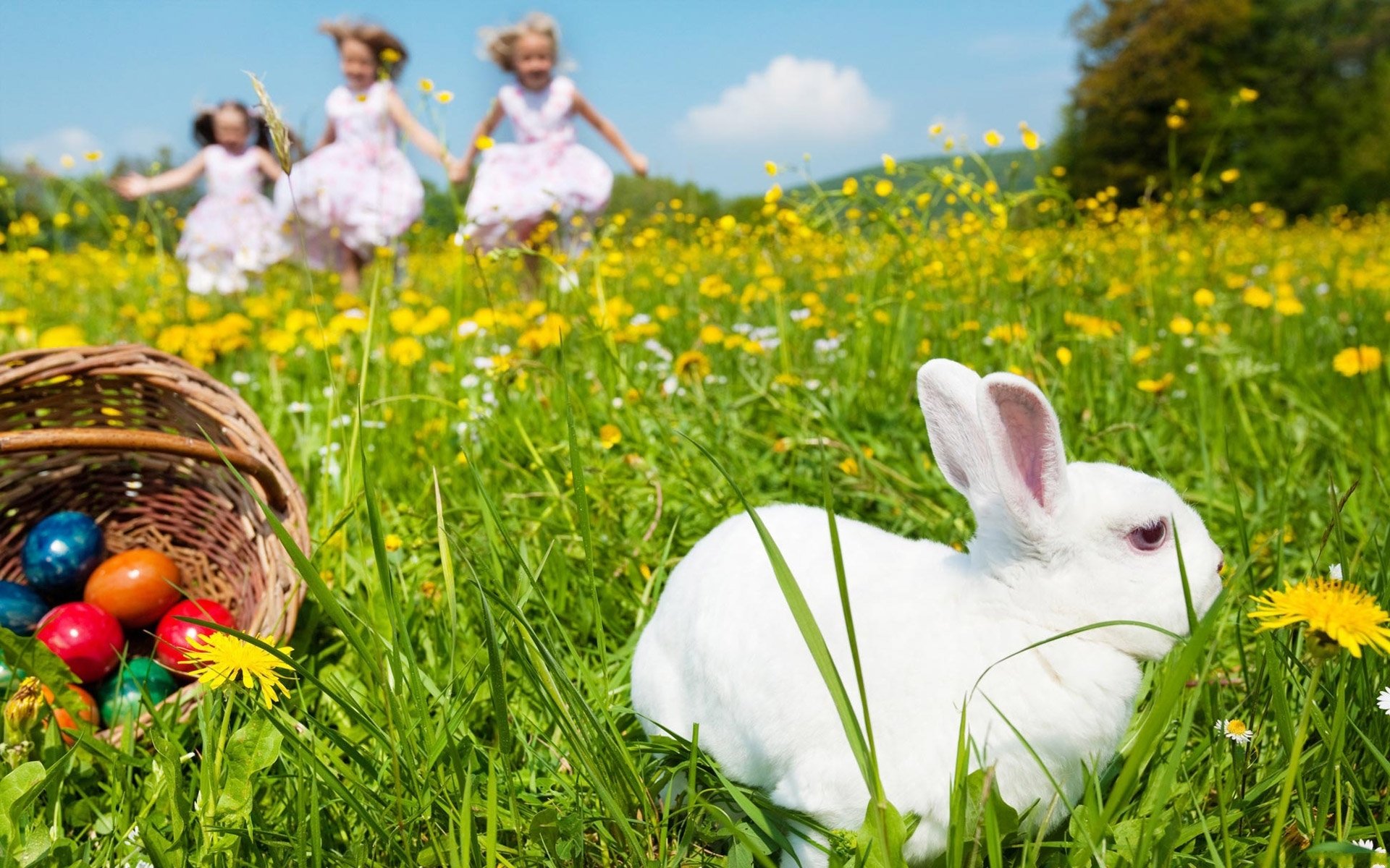 weiß kaninchen kugel korb bunt eier ostern lichtung löwenzahn trio mädchen kleider stimmung blumen frühling himmel wolken freude emotionen