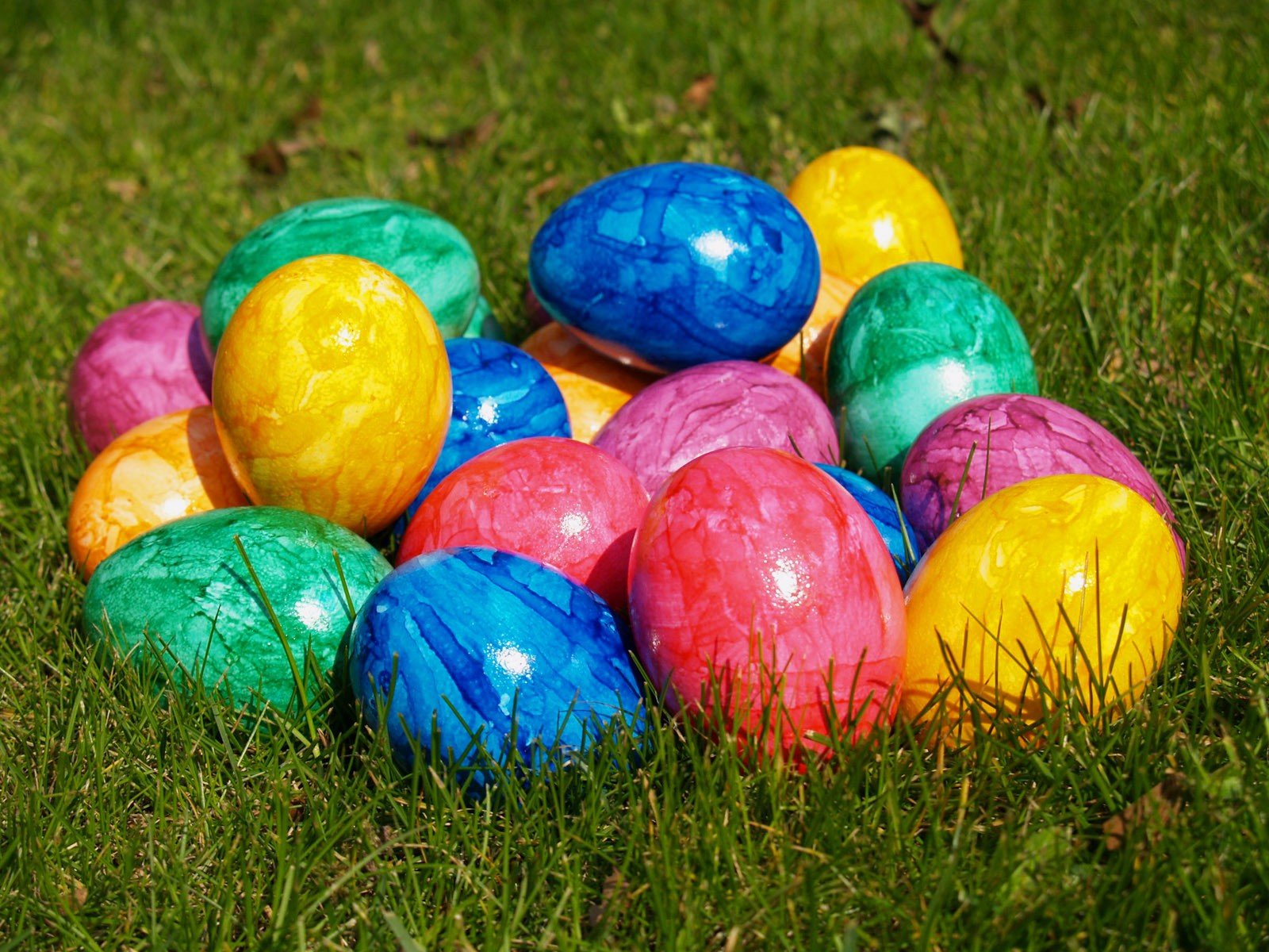 oeufs pâques multicolore