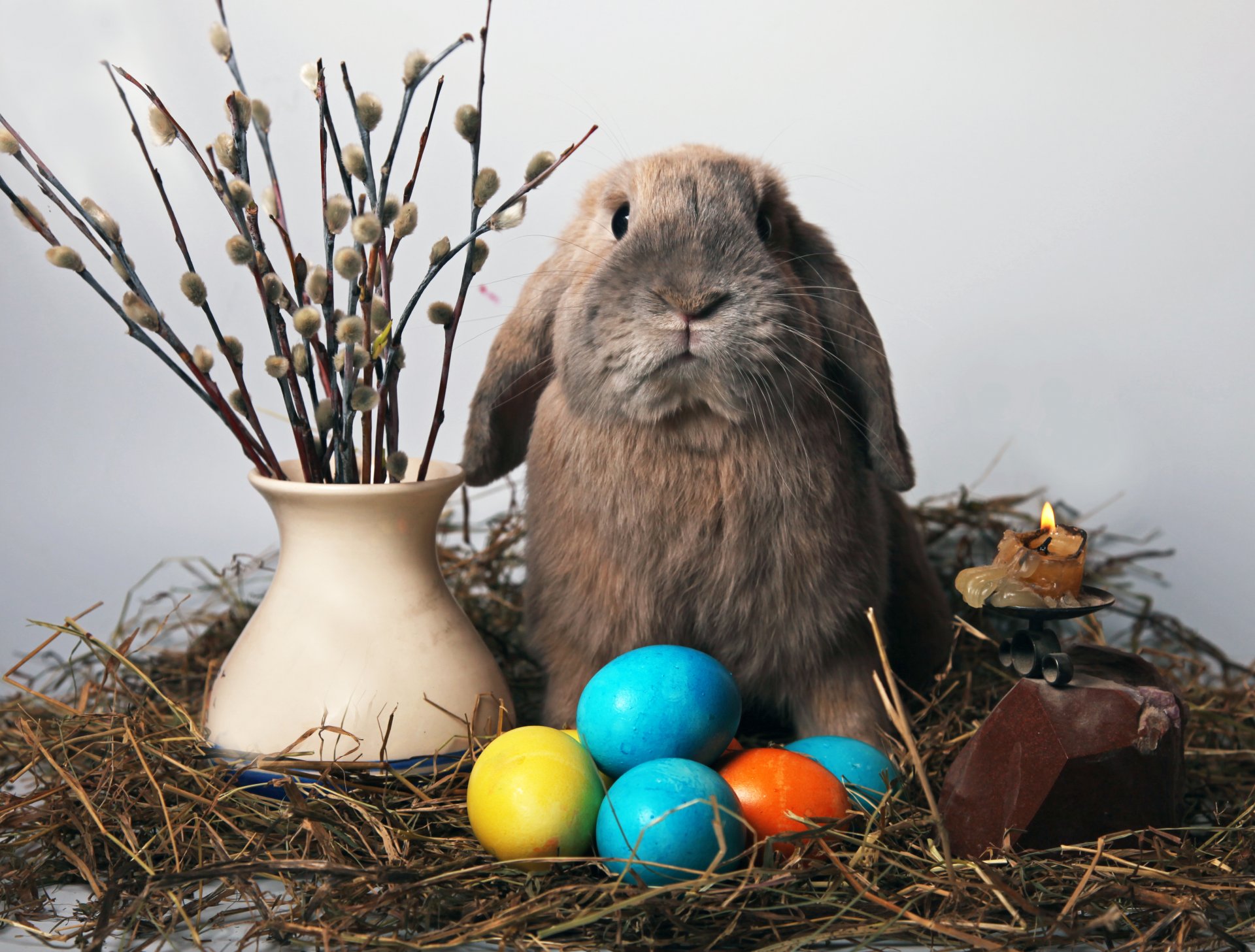 lapin pâques saule oeufs bougie paille