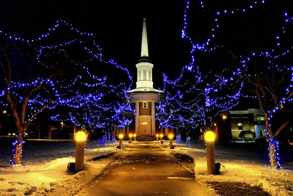 Everything is braided in a blue garland in winter