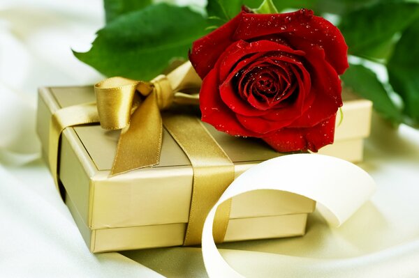 Gift box with a red rose
