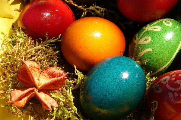 Oeufs de Pâques de toutes les couleurs
